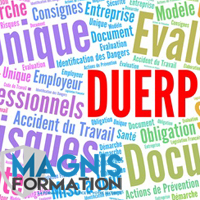 Formation Duerp Lyon